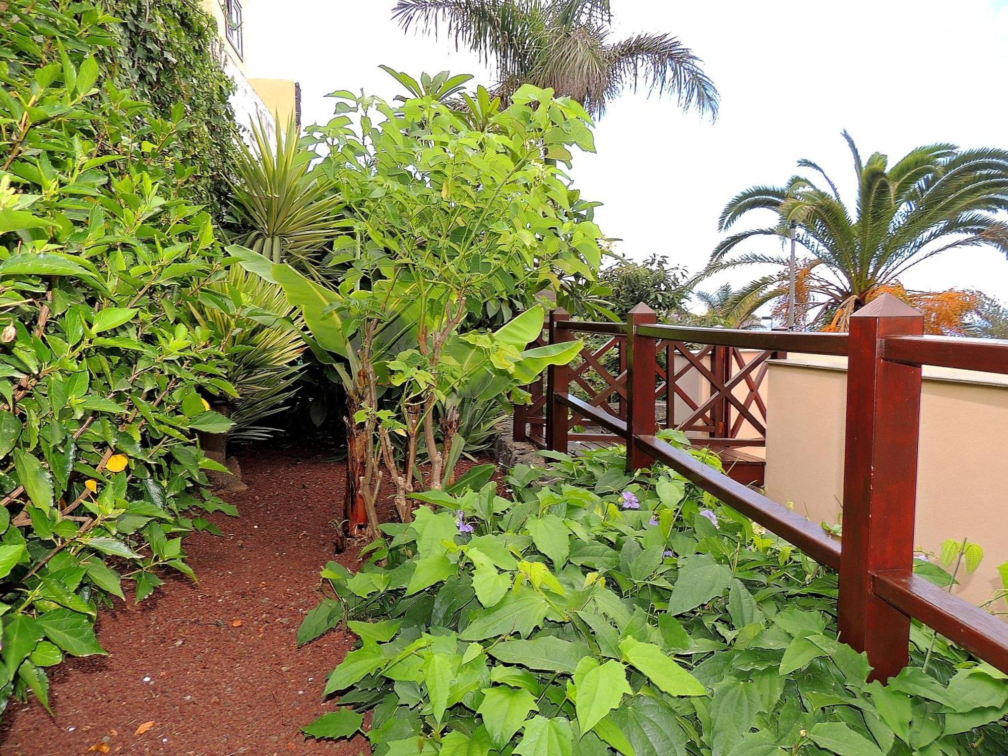 Apartamento Mar Y Teide Sauzal Eksteriør billede